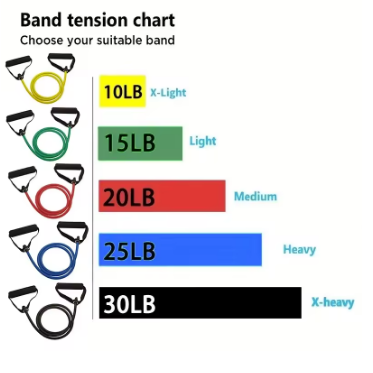 Exercise Bands