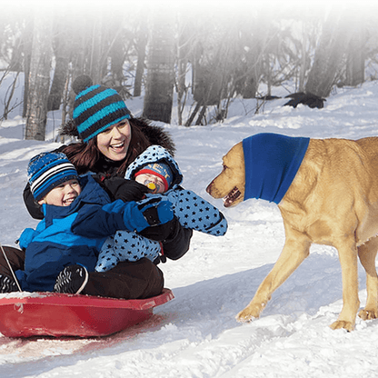 gid://shopify/MediaImage/33701369413872