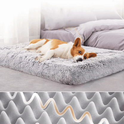 gid://shopify/MediaImage/33701370986736